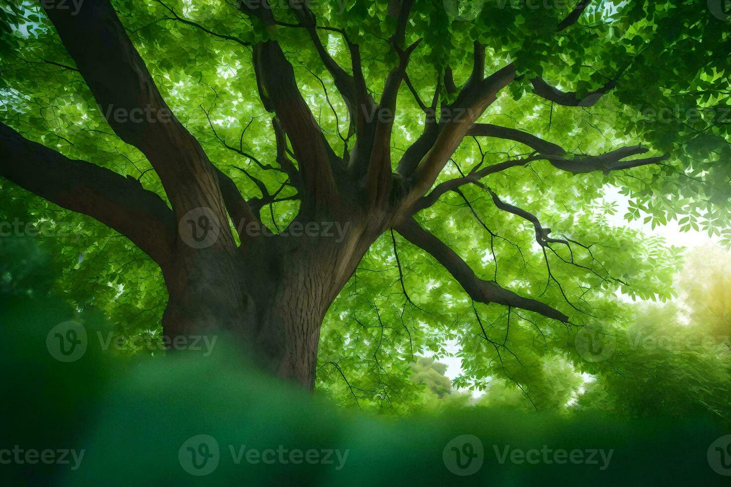 the sun shines through the leaves of a tree. AI-Generated photo