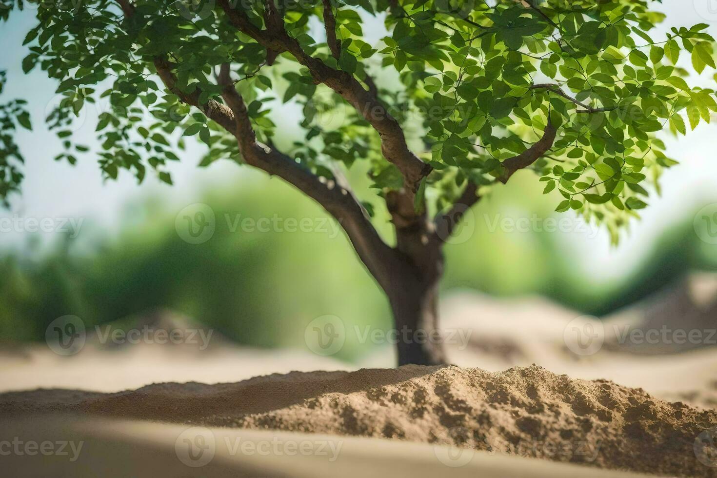 a tree is growing out of the sand in the desert. AI-Generated photo