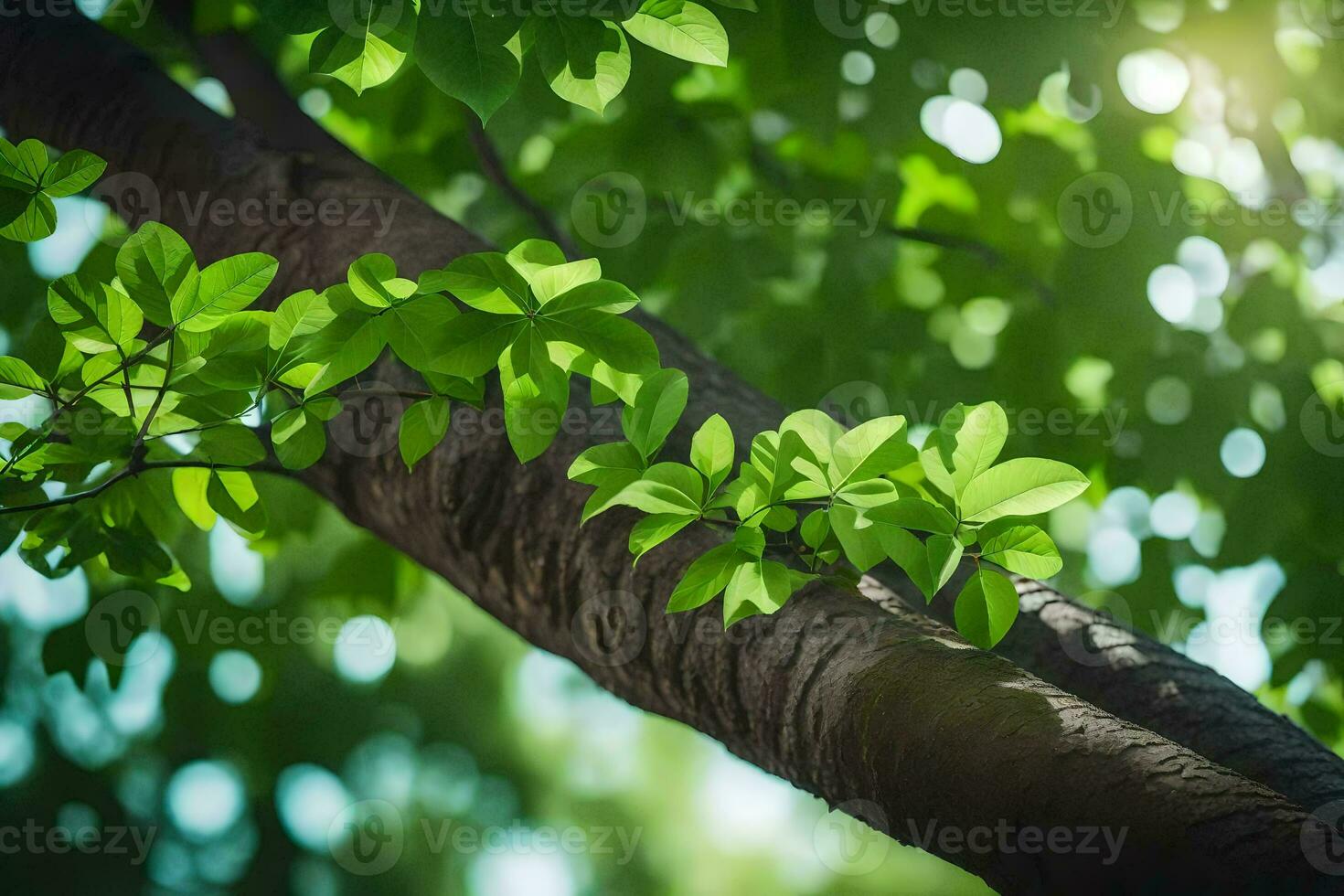 a tree branch with green leaves. AI-Generated photo