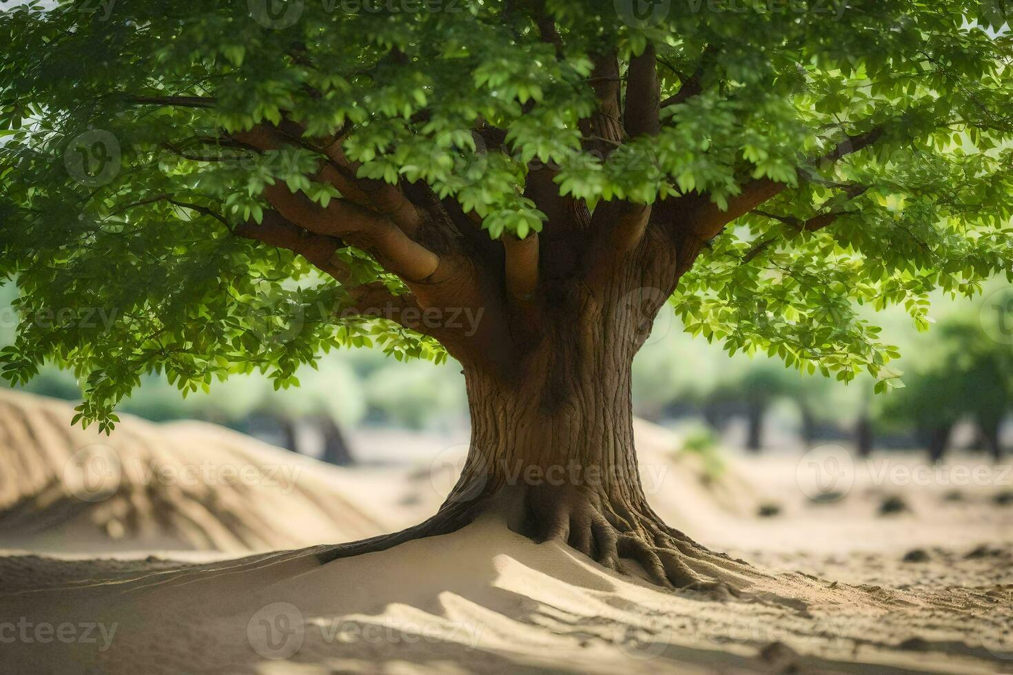 a tree in the desert with sand dunes in the background. AI-Generated photo