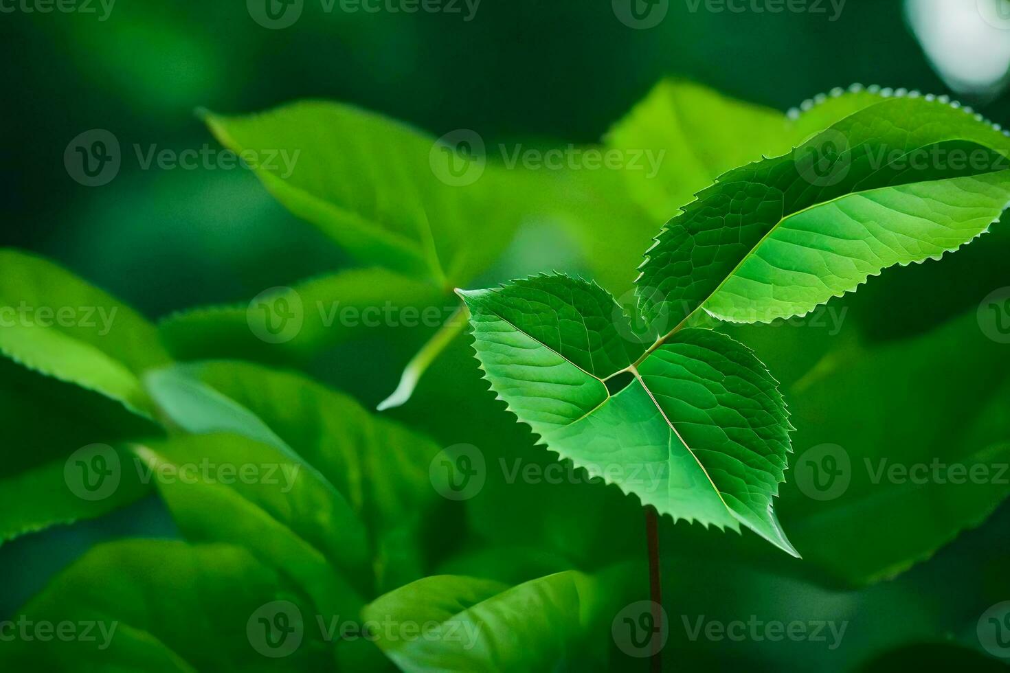 a close up of a green leaf with leaves. AI-Generated photo