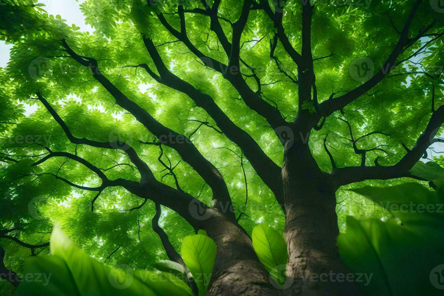 a tree is seen from above with green leaves. AI-Generated photo