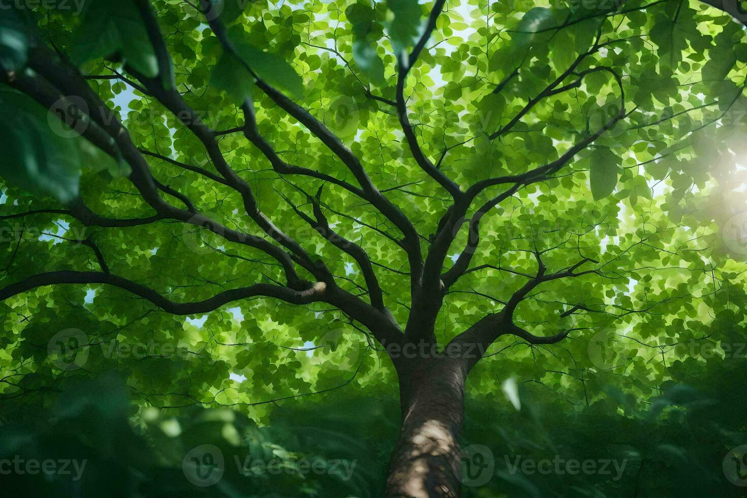 the sun shines through the leaves of a tree. AI-Generated photo