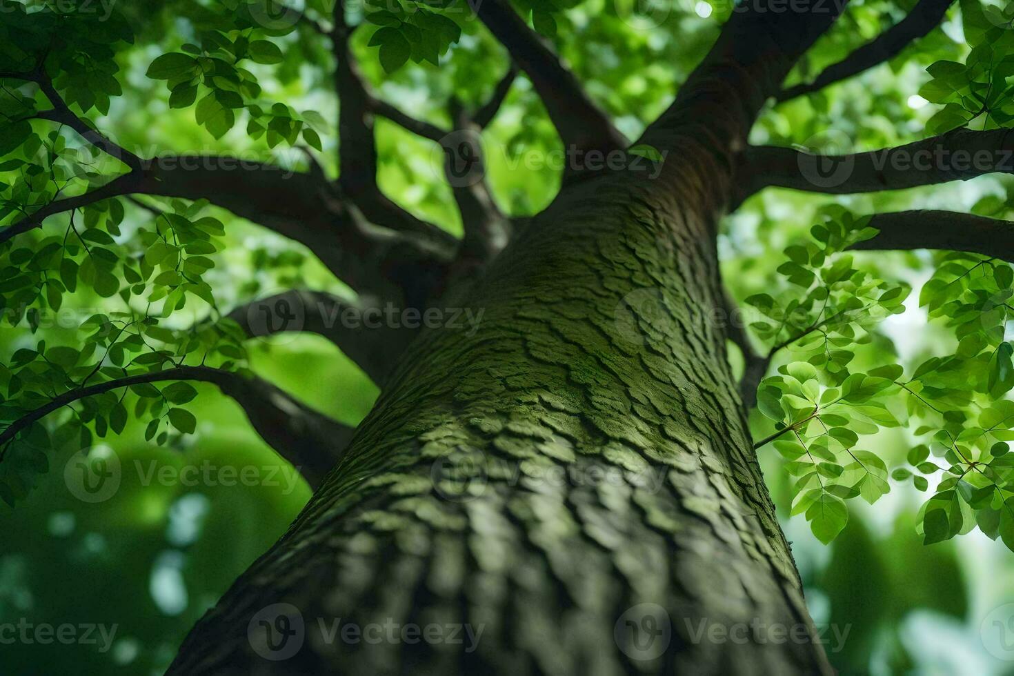 a tree is shown from above with green leaves. AI-Generated photo