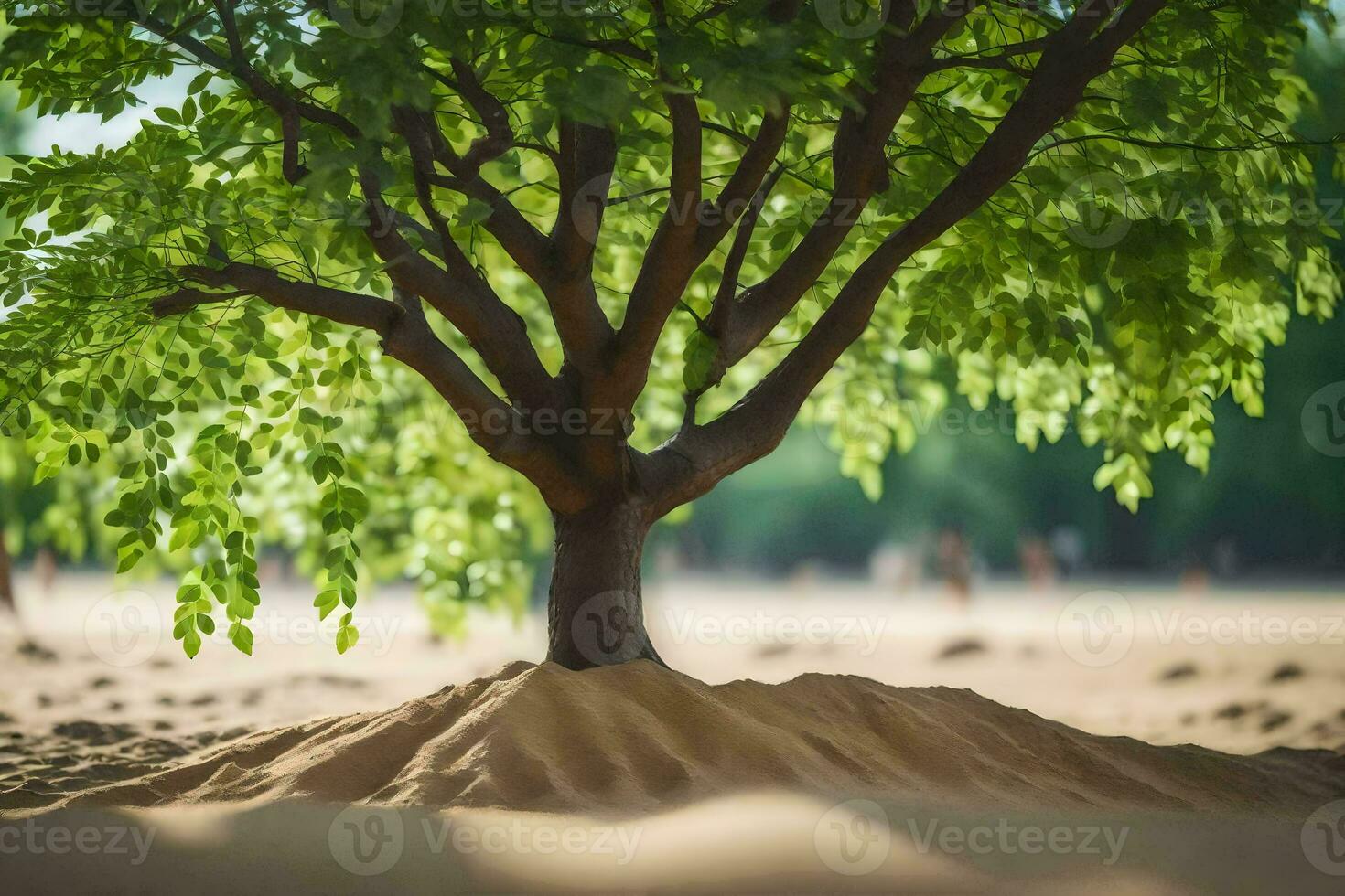 a tree in the sand with people in the background. AI-Generated photo
