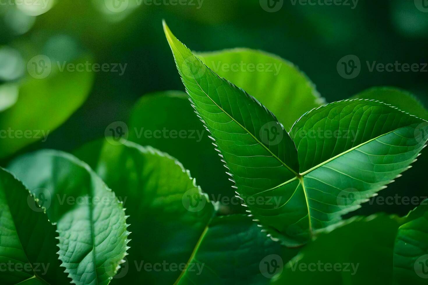 a close up of green leaves on a tree. AI-Generated photo