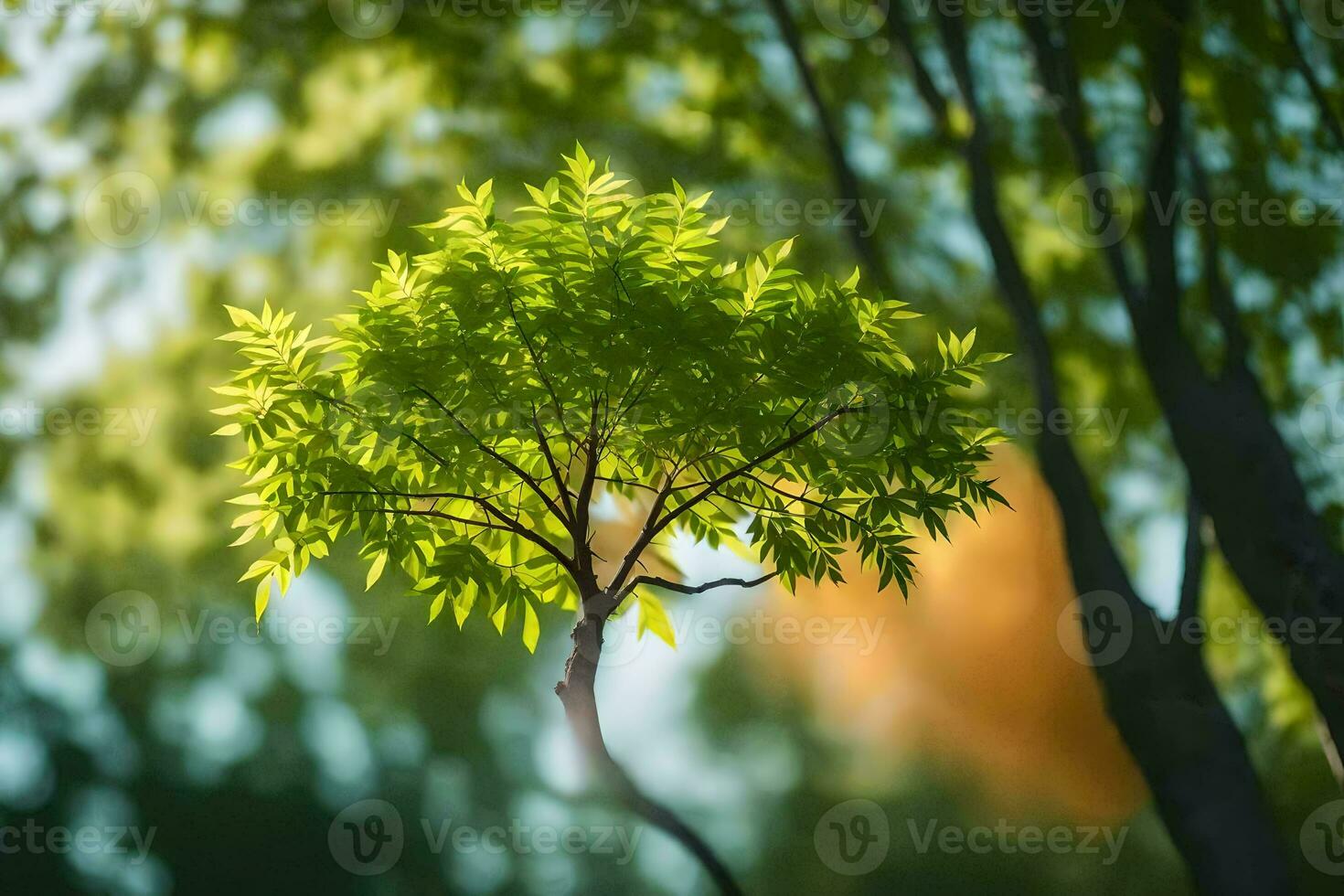 a tree with leaves in the foreground and a bright sun. AI-Generated photo
