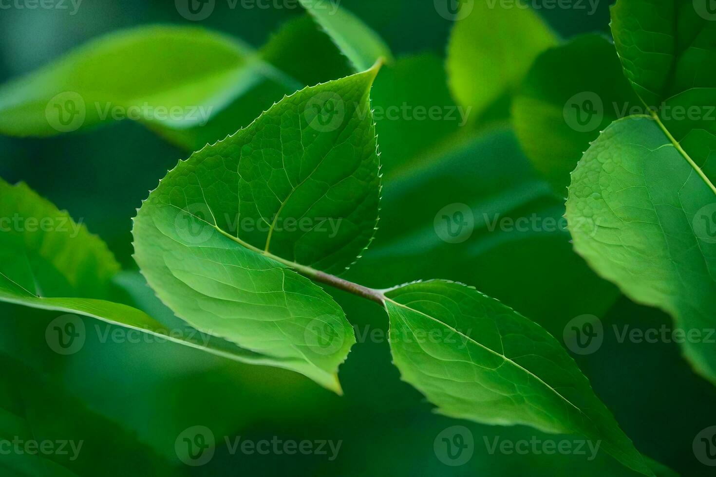 a close up of green leaves on a tree. AI-Generated photo