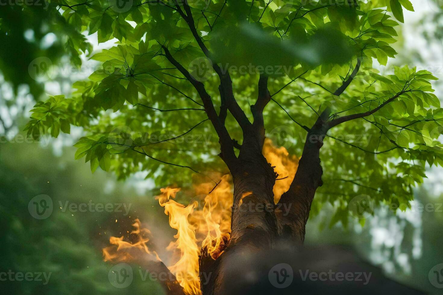 a tree with flames coming out of it. AI-Generated photo