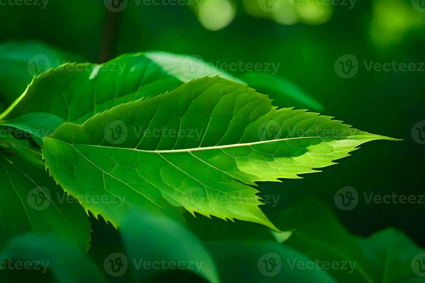 a close up of a green leaf on a tree. AI-Generated photo