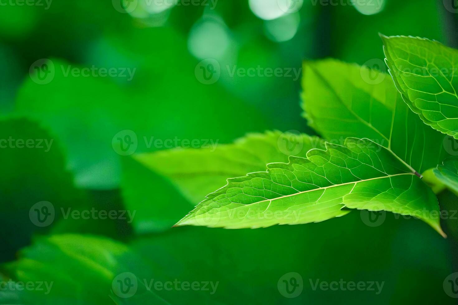 green leaves in the forest. AI-Generated photo