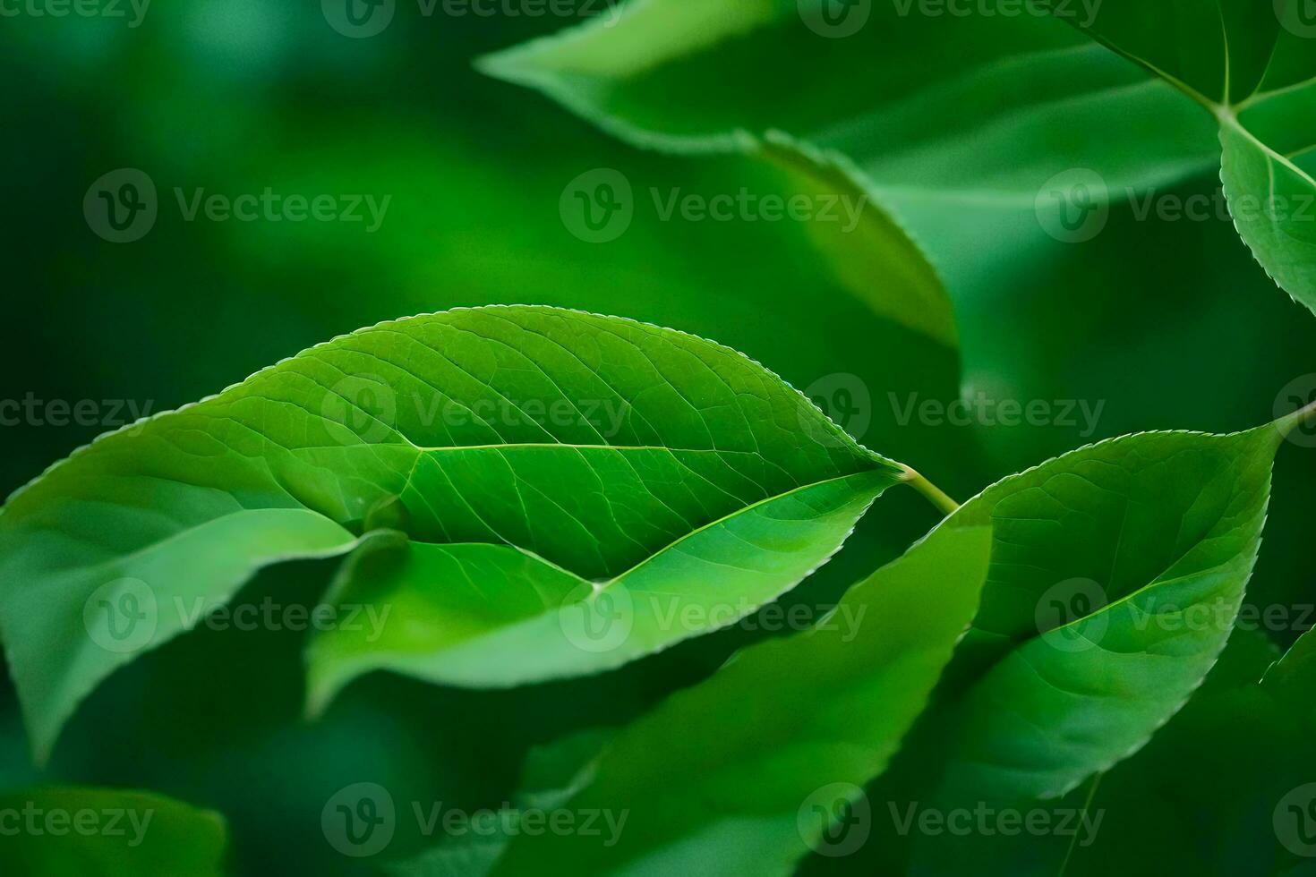 a close up of green leaves on a tree. AI-Generated photo