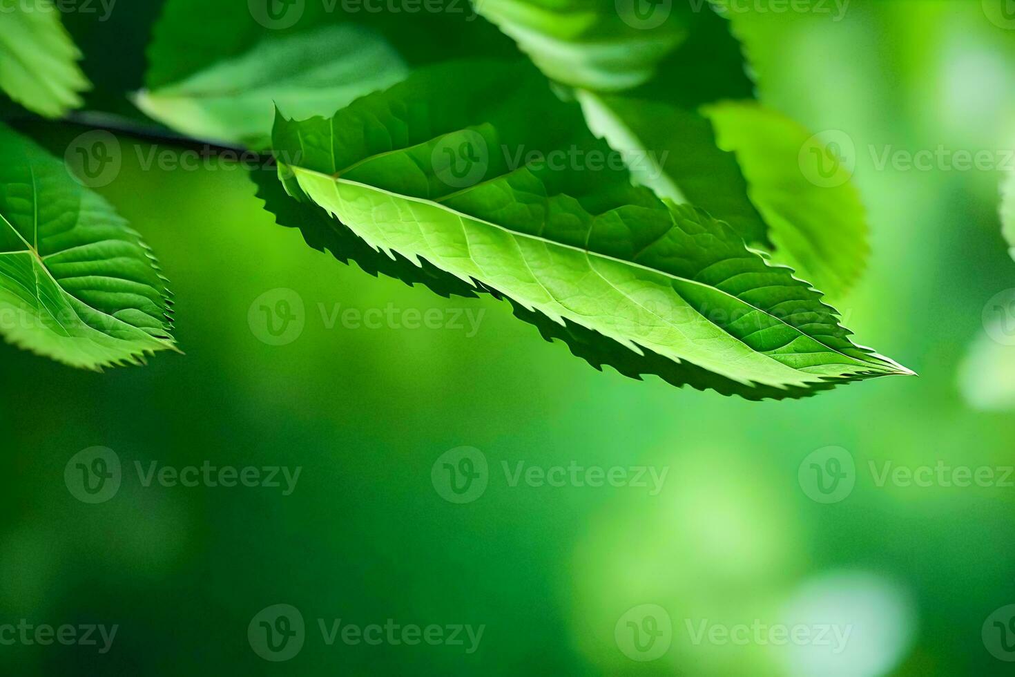 verde hojas en un árbol rama. generado por ai foto