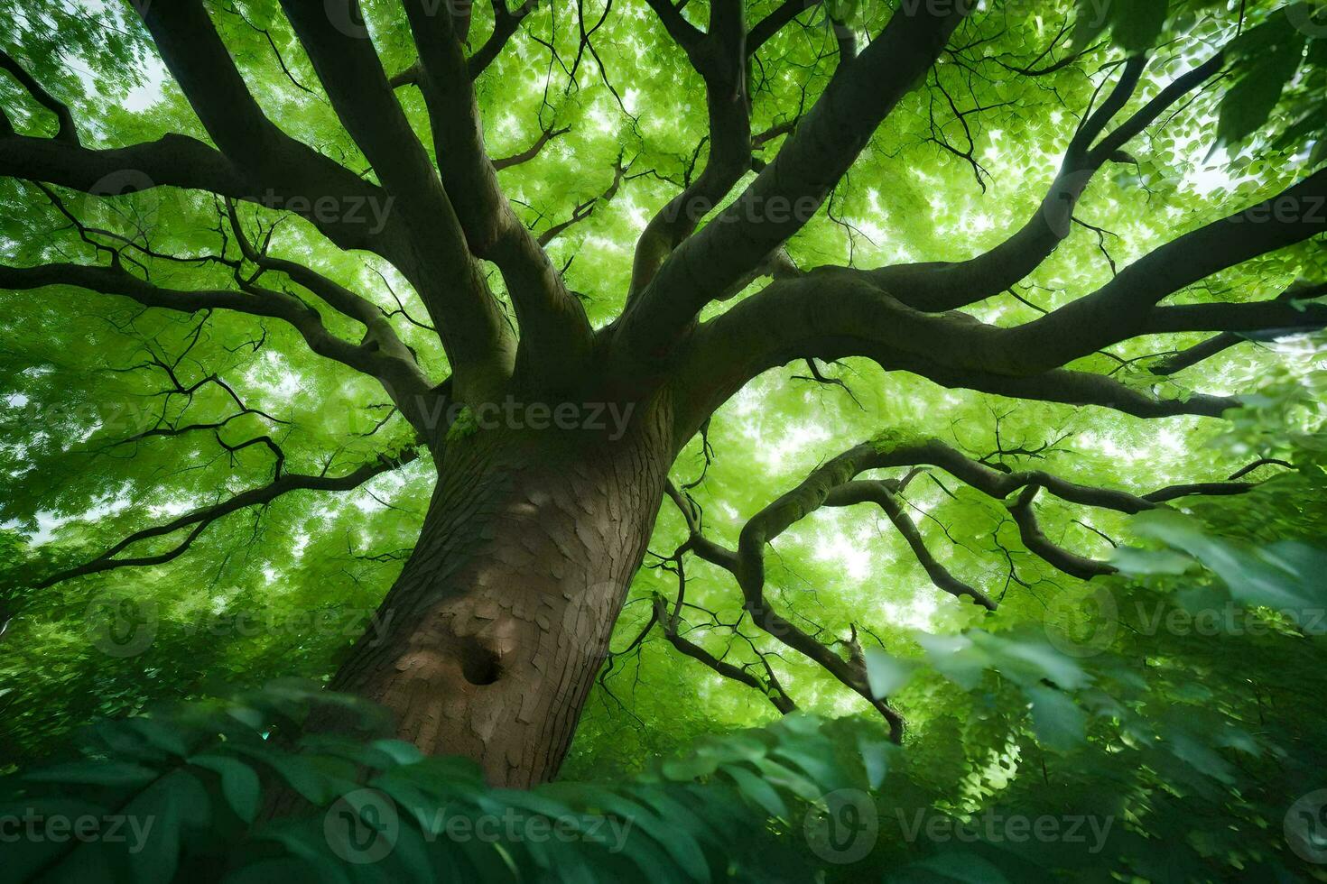 a large tree in the forest with green leaves. AI-Generated photo