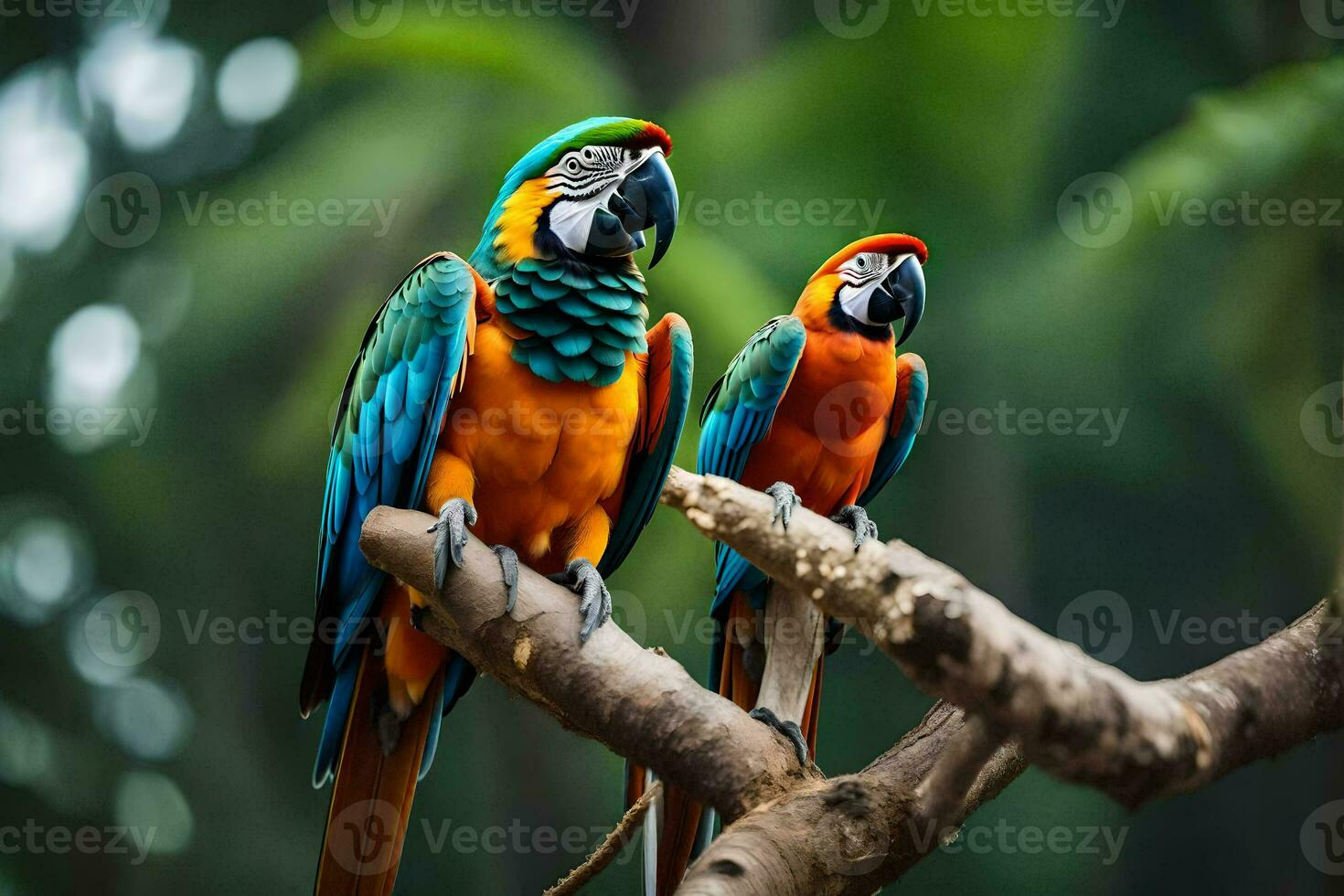 two colorful parrots sitting on a branch. AI-Generated photo