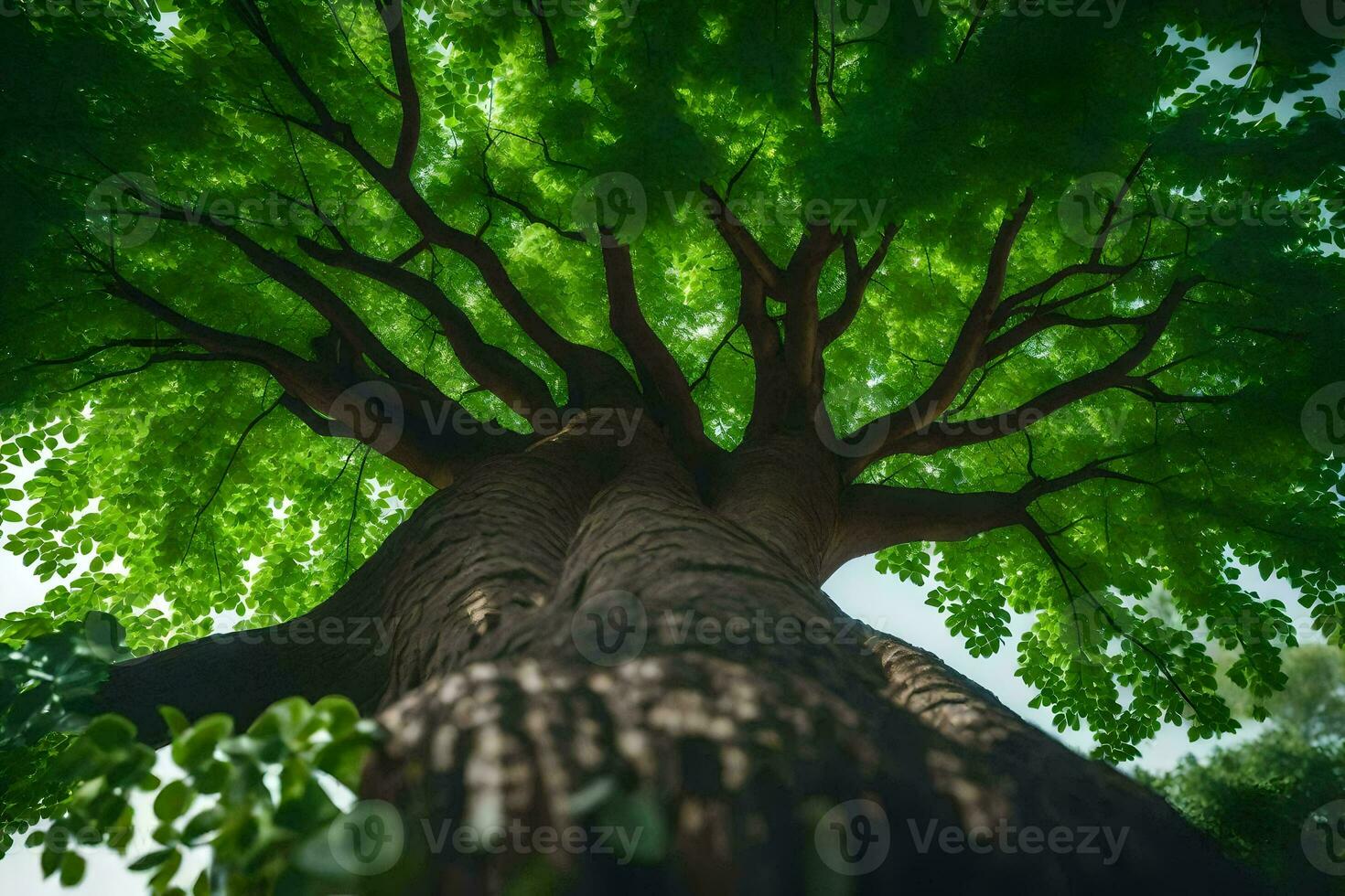 a tree is seen from below with green leaves. AI-Generated photo