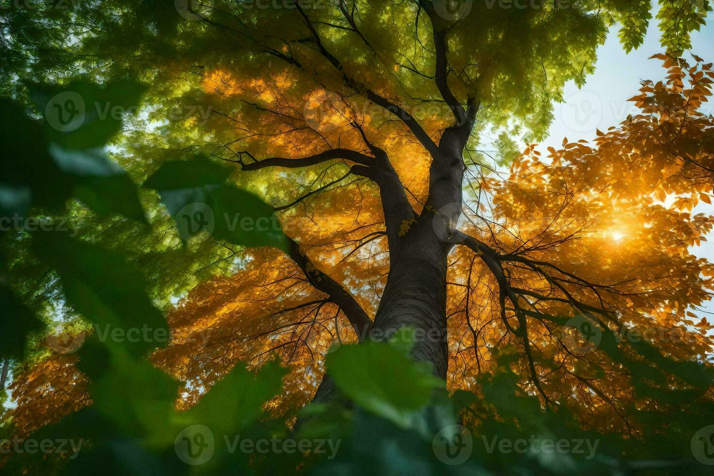a tree is seen from below with the sun shining through the leaves. AI-Generated photo
