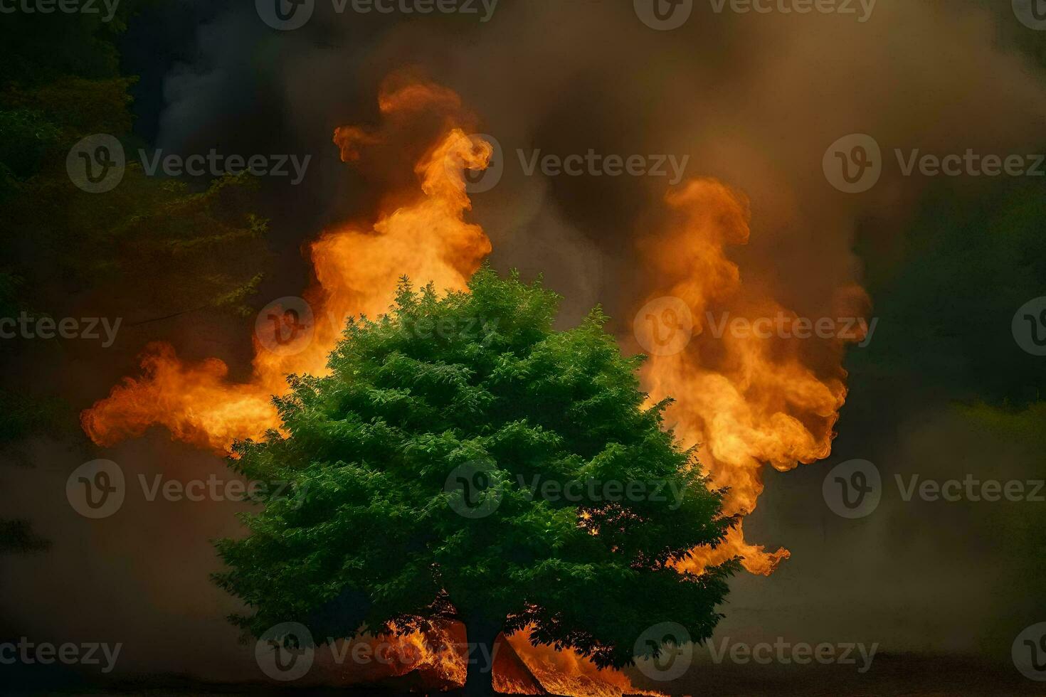 a tree is burning in the middle of a field. AI-Generated photo