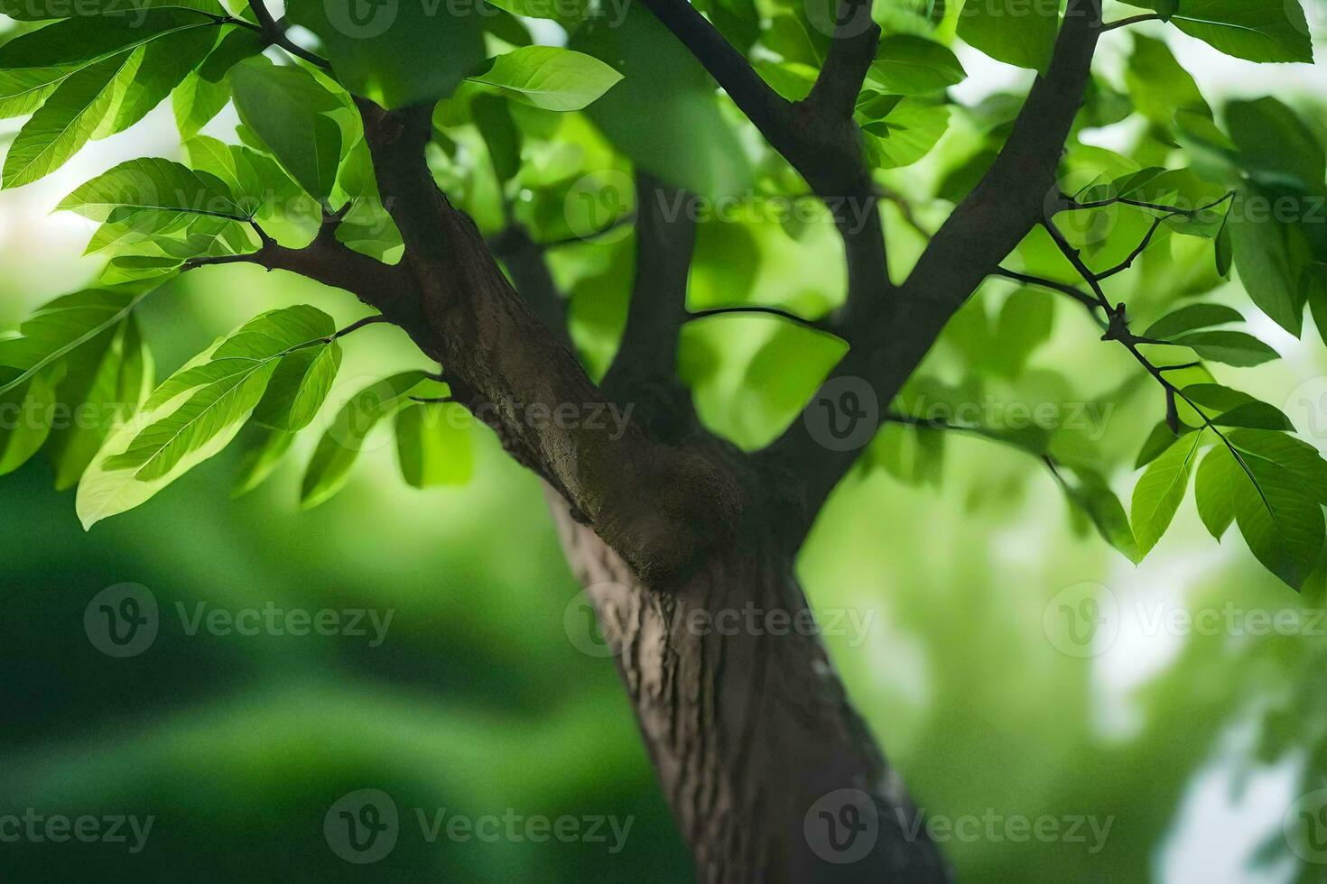 a tree with leaves and a green background. AI-Generated photo