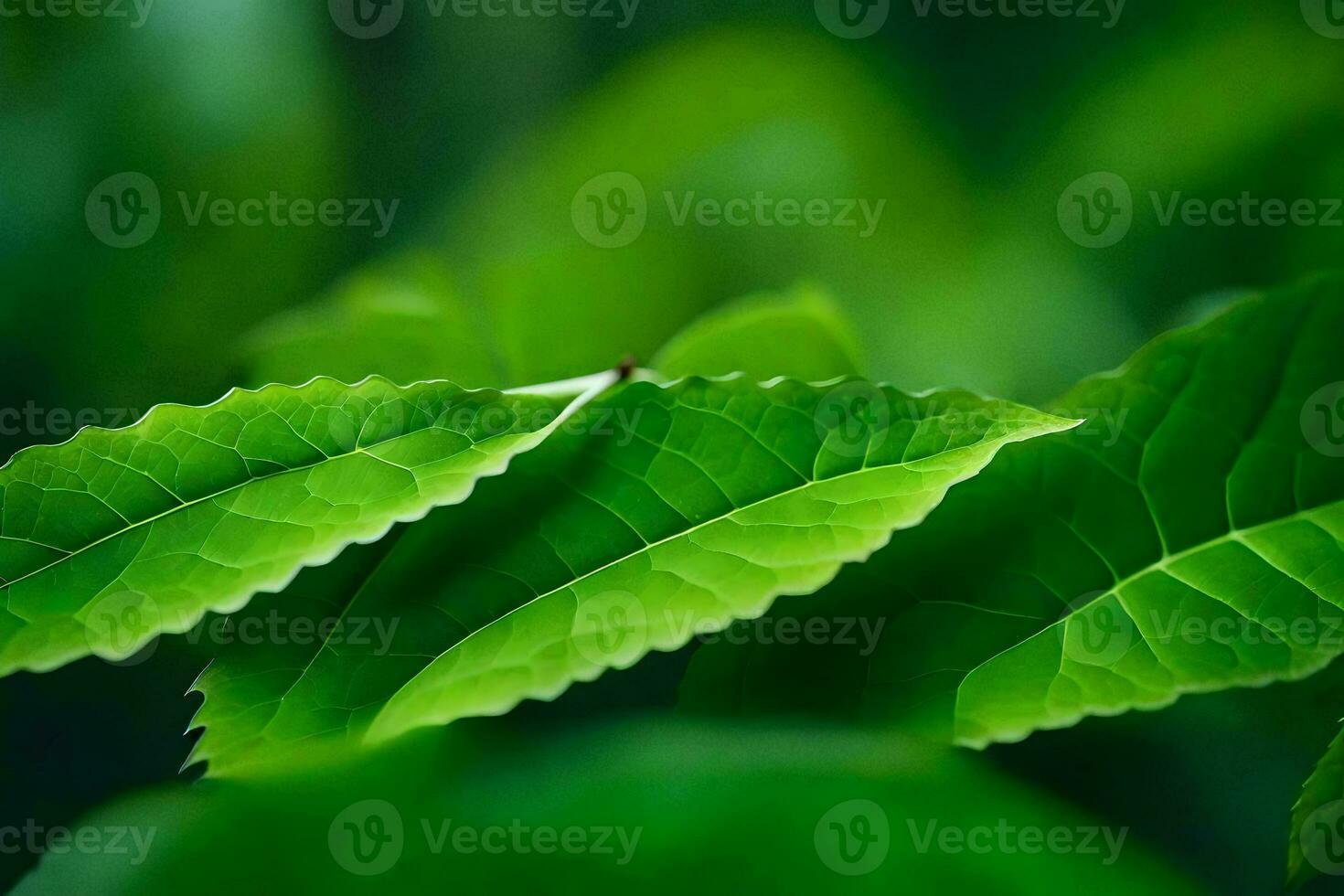 a close up of green leaves on a tree. AI-Generated photo