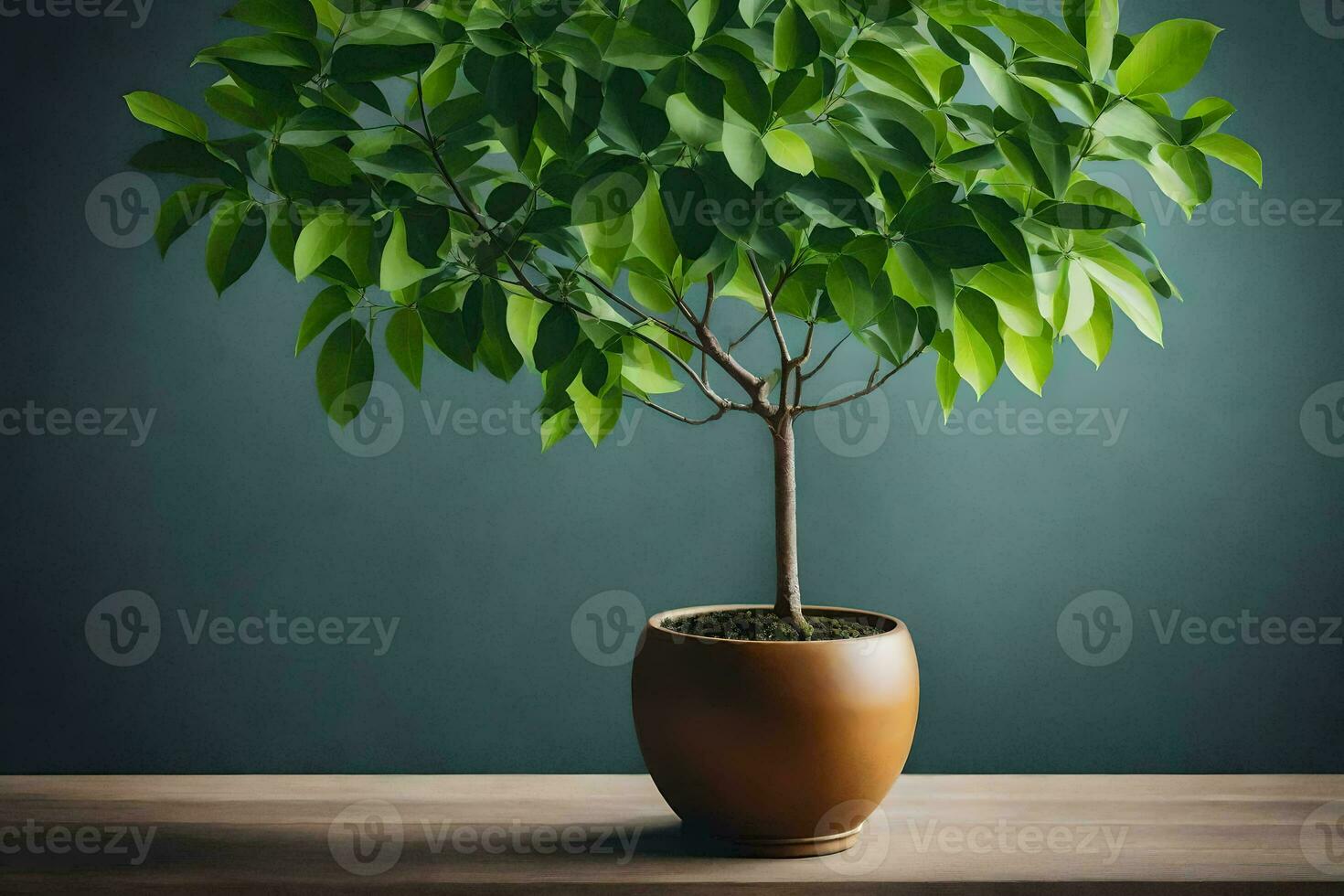a potted plant with green leaves on a table. AI-Generated photo