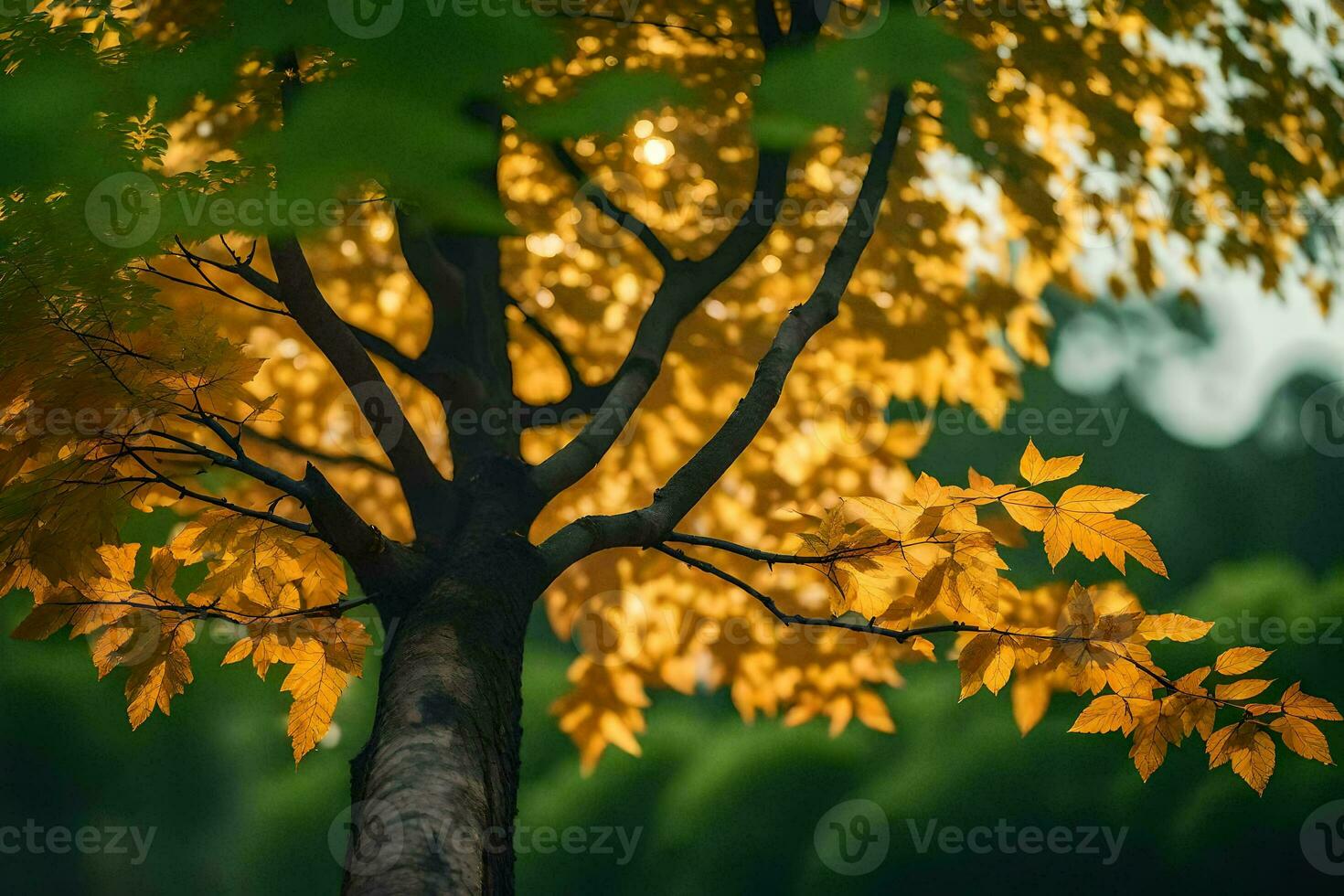 un árbol con amarillo hojas en el antecedentes. generado por ai foto