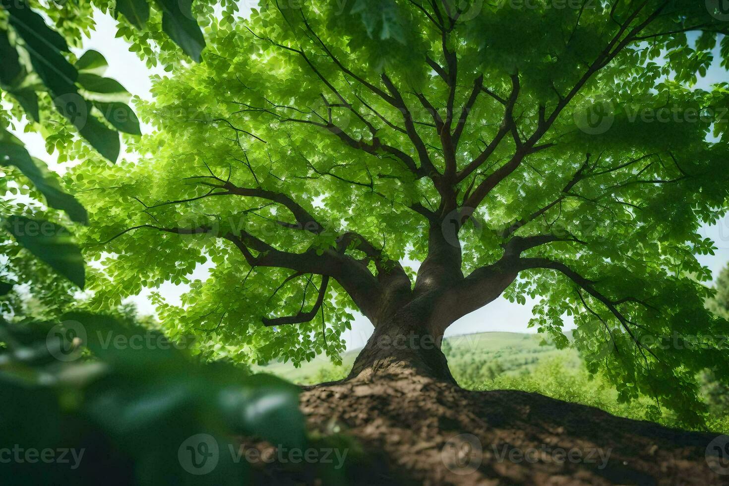 a tree is seen from above in a forest. AI-Generated photo
