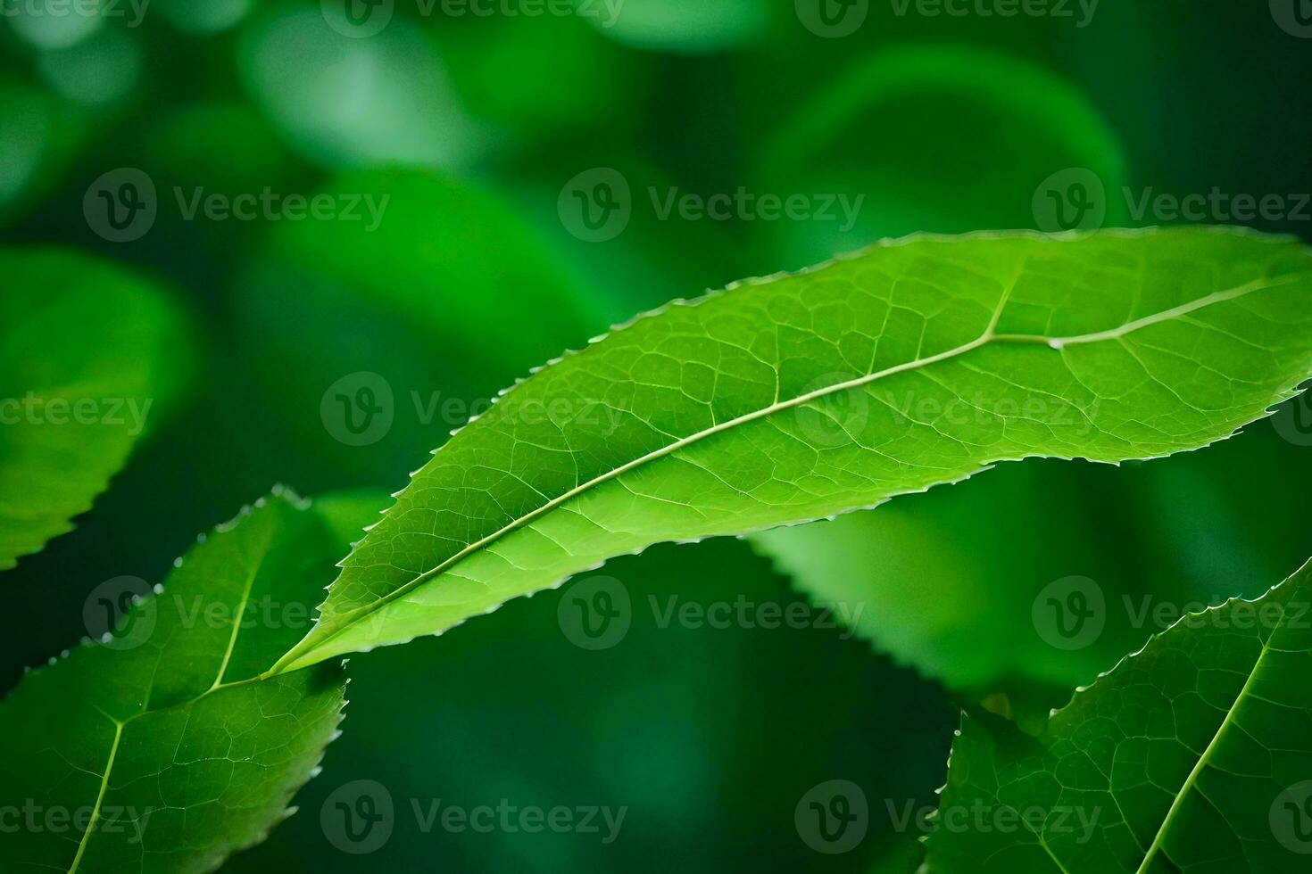 a close up of a leaf on a green plant. AI-Generated photo