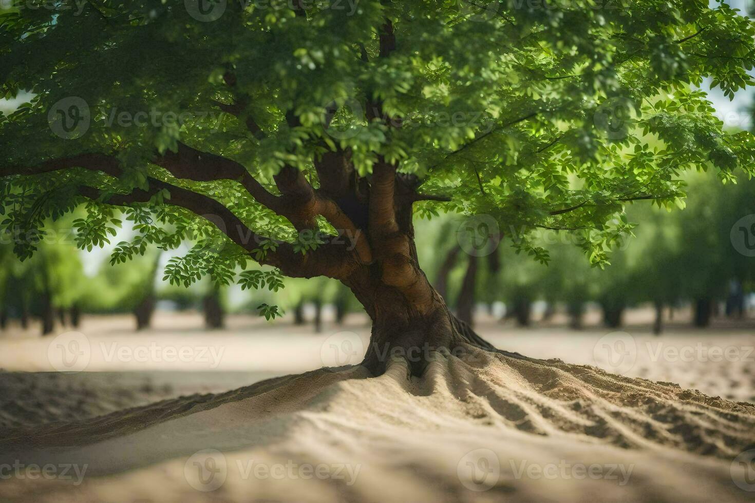 a tree in the sand with a sand dune in the background. AI-Generated photo