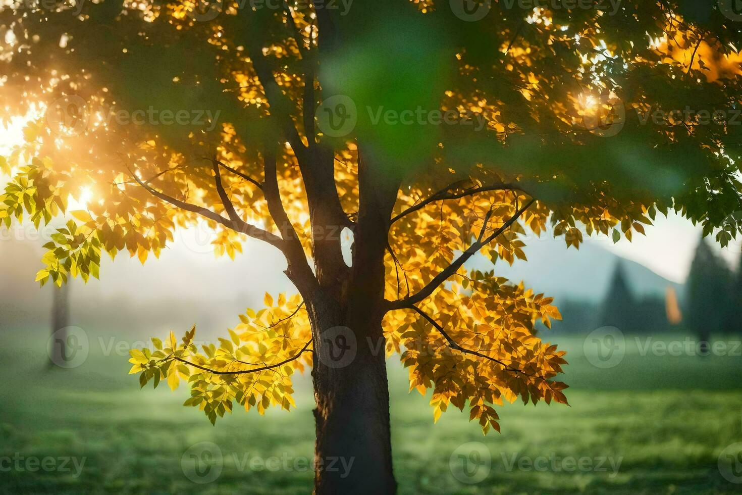 a tree in the middle of a field with the sun shining through it. AI-Generated photo