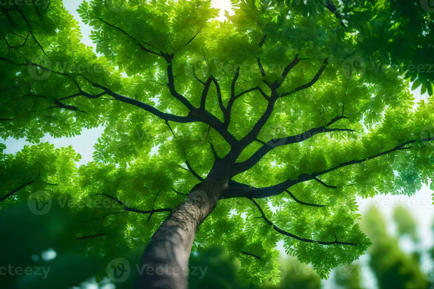 a tree is seen from above with green leaves. AI-Generated photo