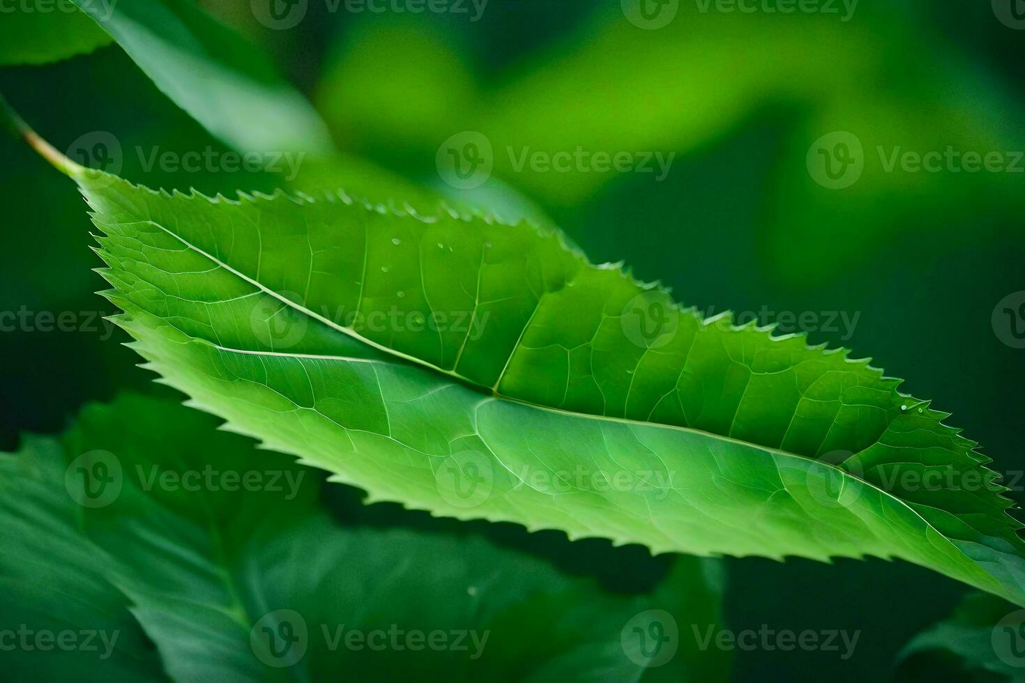 a close up of a leaf with green leaves. AI-Generated photo