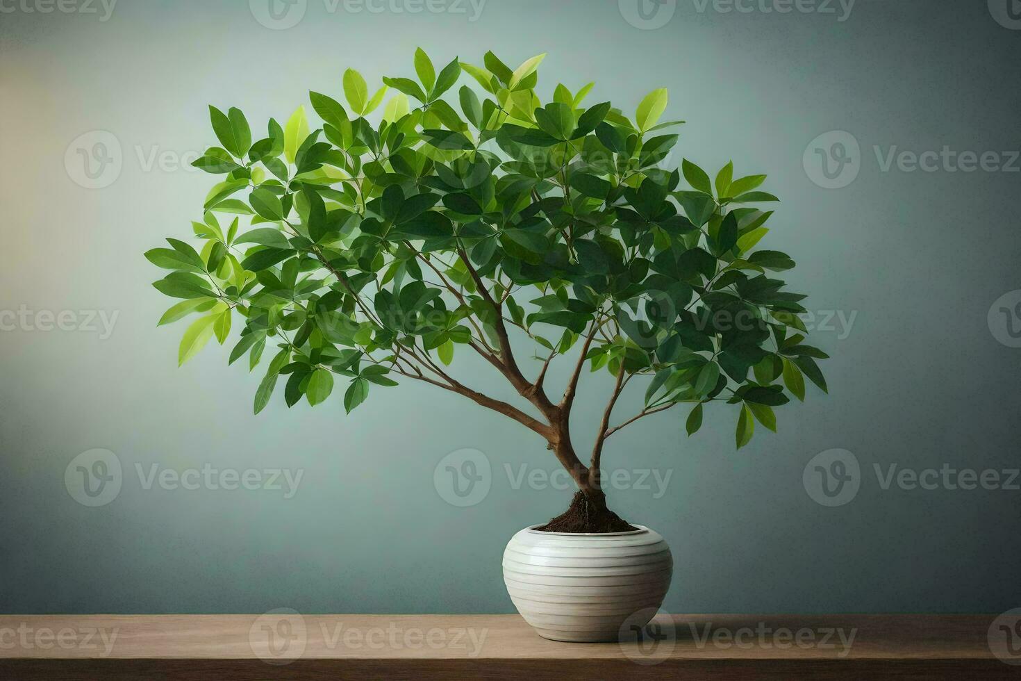 bonsai tree in a vase on a table. AI-Generated photo