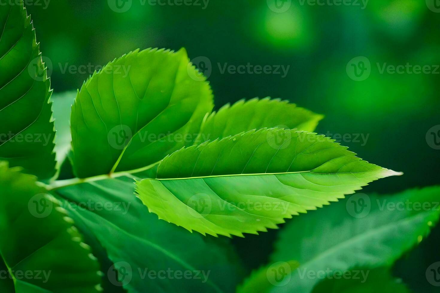 a close up of green leaves on a tree. AI-Generated photo