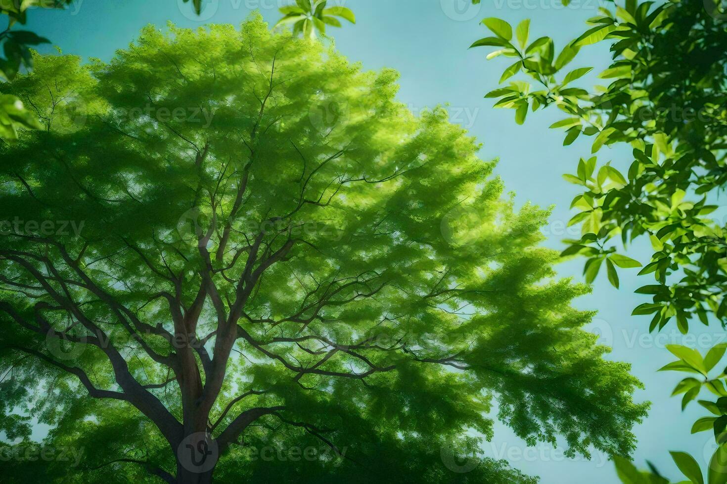 a tree in the forest. AI-Generated photo