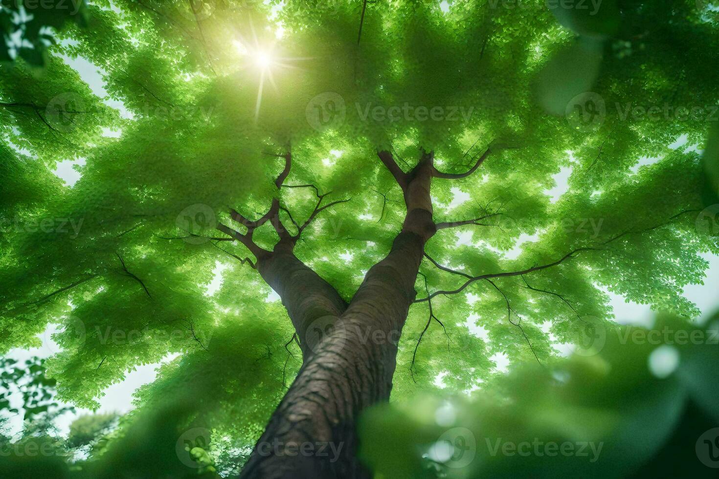 a tree in the forest. AI-Generated photo