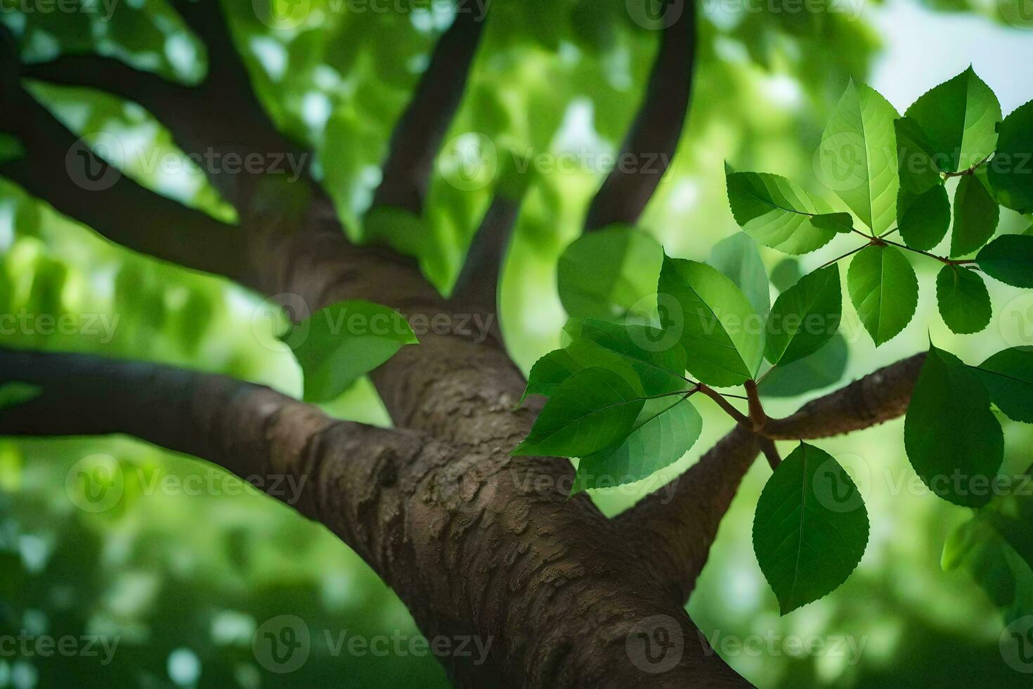 a tree with green leaves and a bright sun. AI-Generated photo