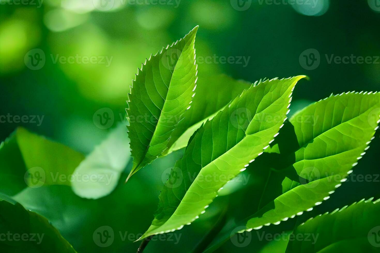 a close up of green leaves on a tree. AI-Generated photo