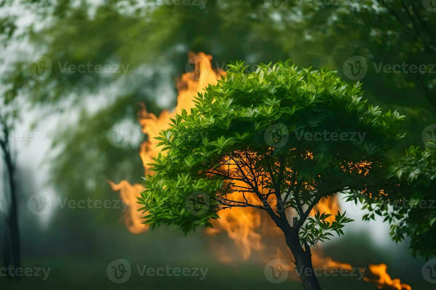 a tree with flames coming out of it. AI-Generated photo