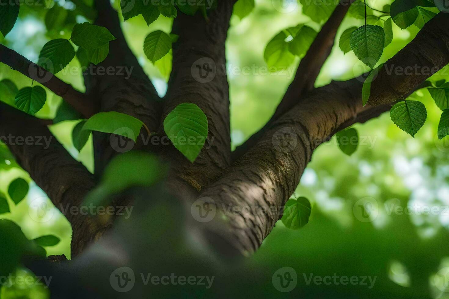a tree with green leaves and sunlight. AI-Generated photo