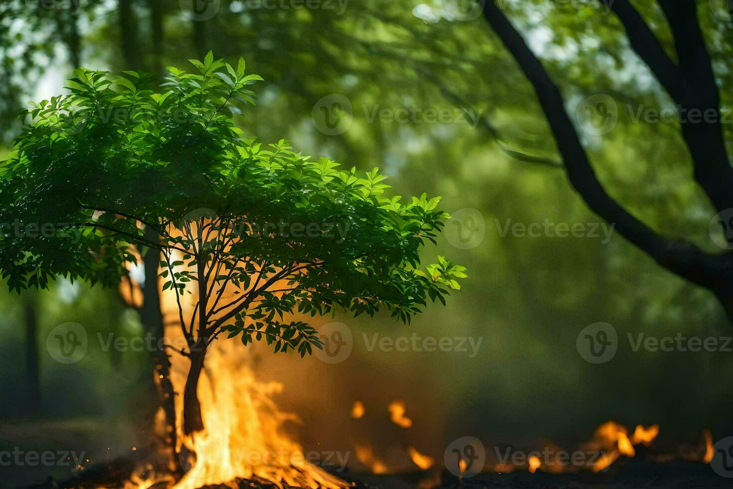 a tree is burning in the forest. AI-Generated photo