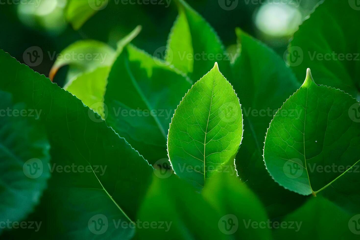 a close up of green leaves on a tree. AI-Generated photo