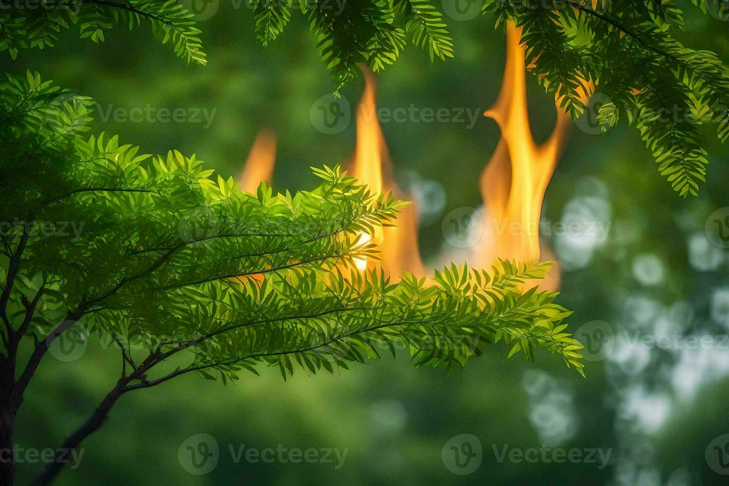 a green tree with flames coming out of it. AI-Generated photo