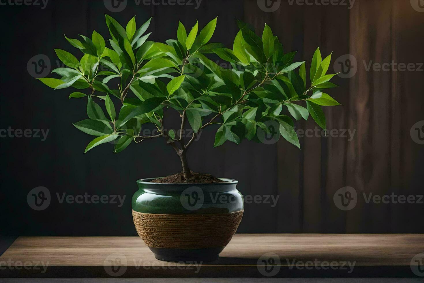 bonsai tree in a pot on a table. AI-Generated photo