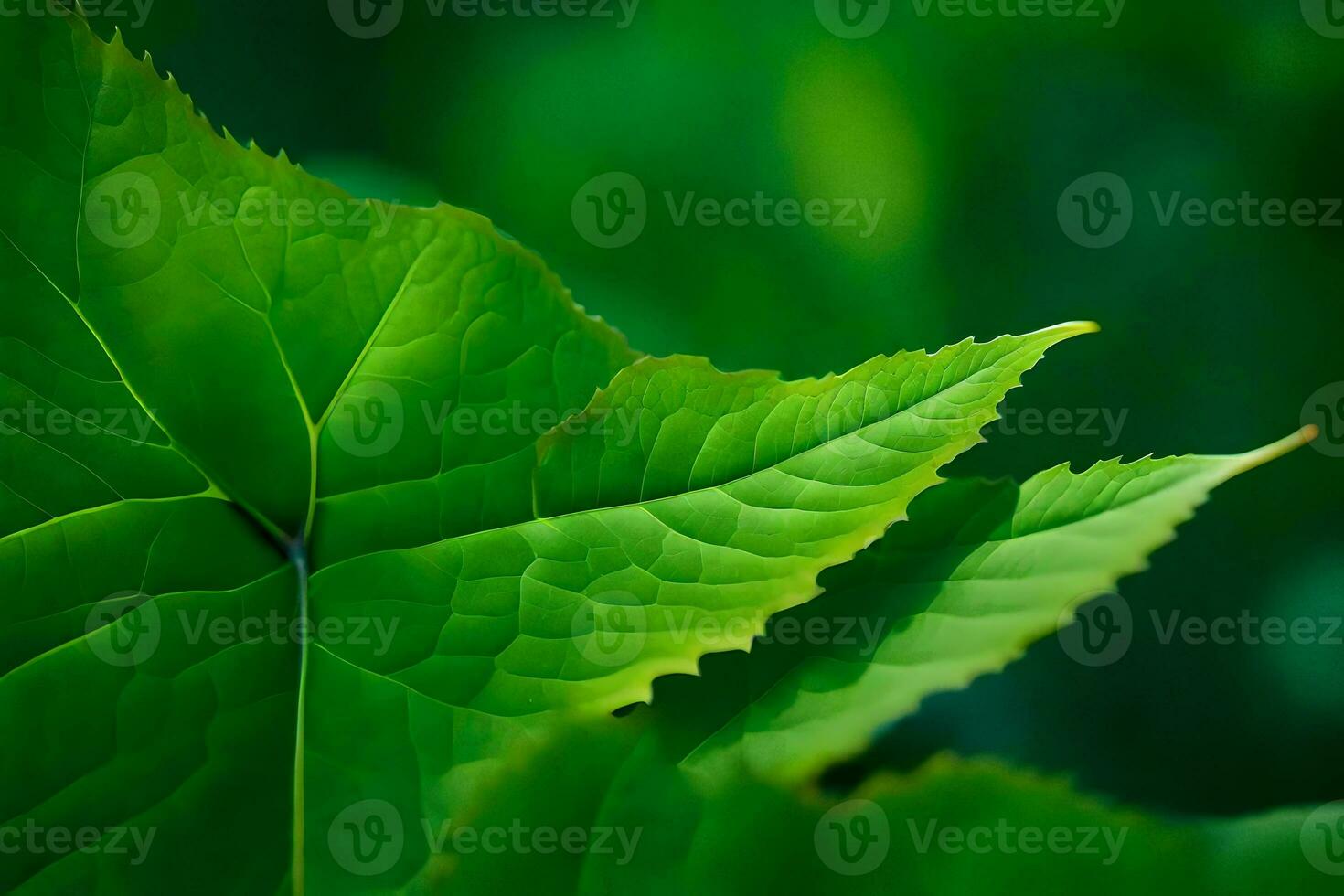 a close up of a green leaf. AI-Generated photo