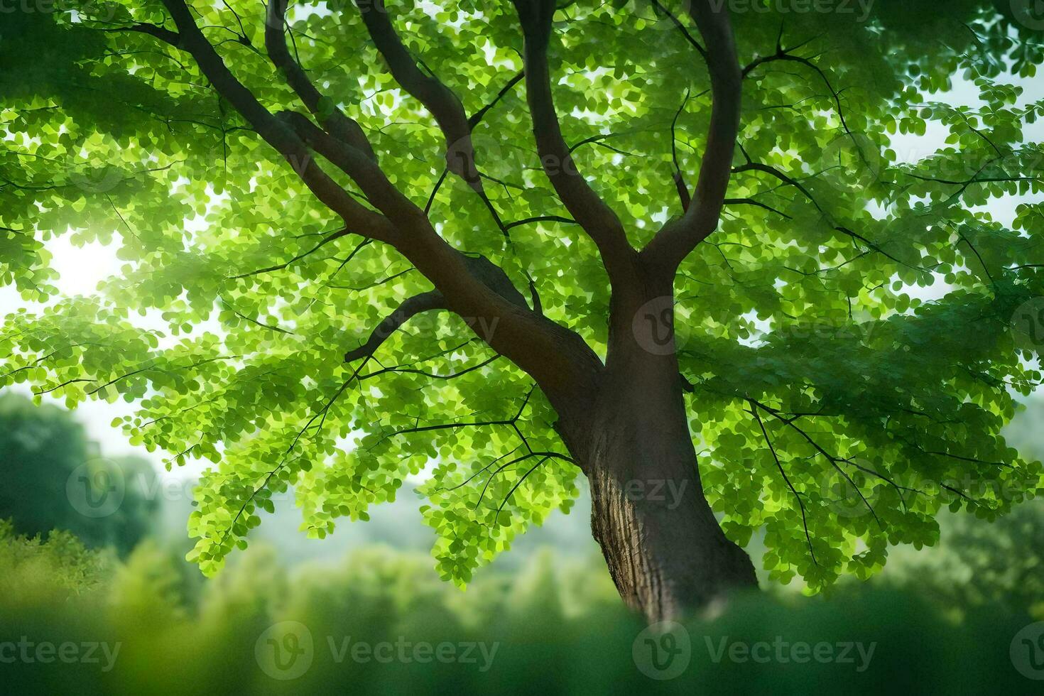 a tree is shown in the sunlight with green leaves. AI-Generated photo