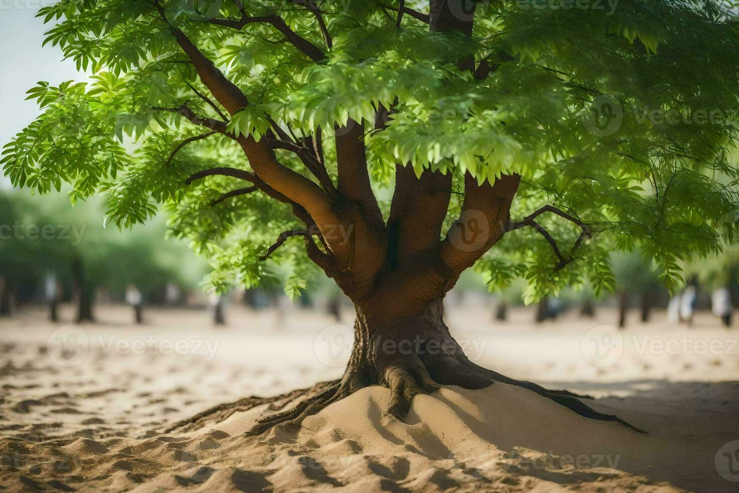 a tree in the middle of a desert with sand. AI-Generated photo