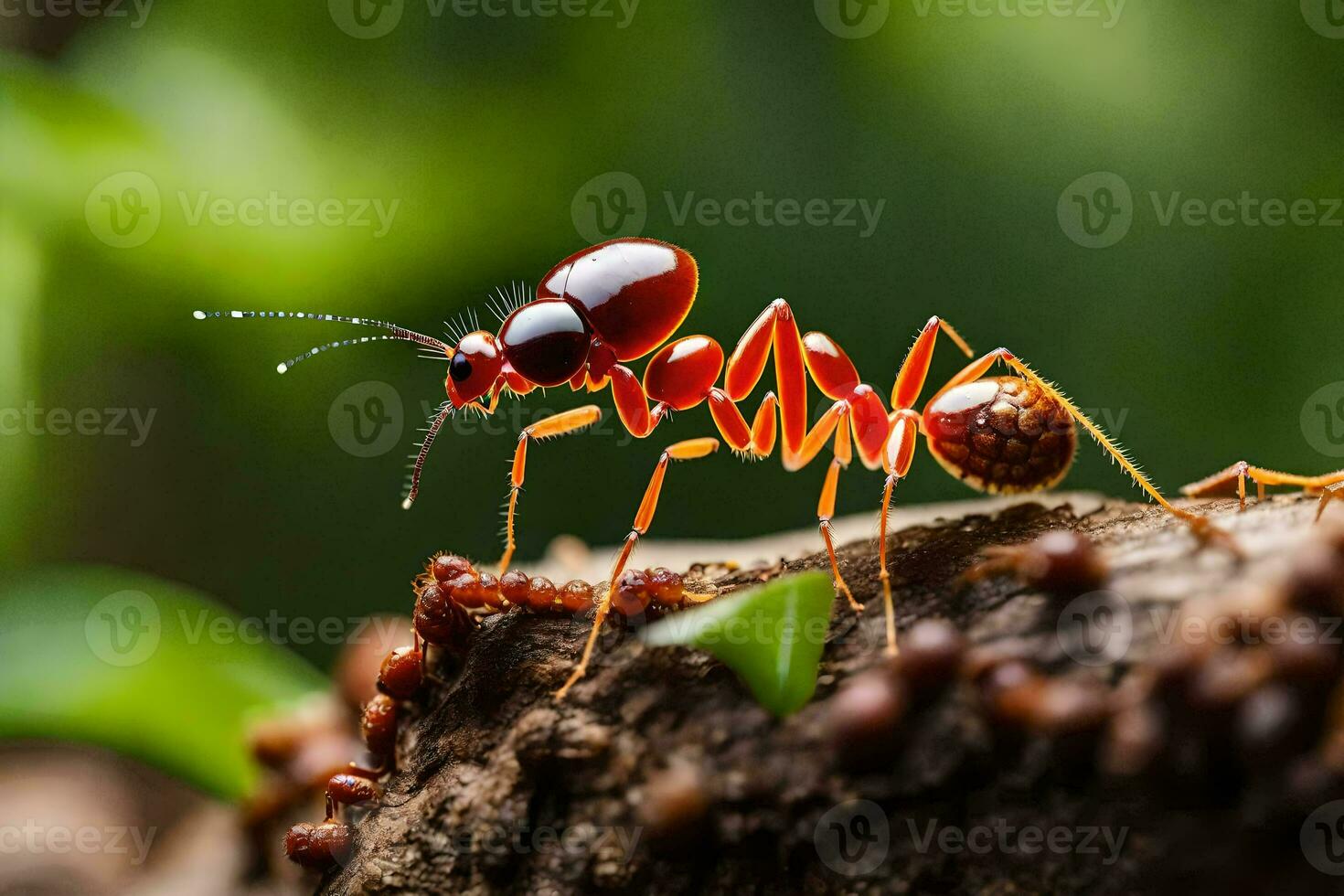 a red ant is walking on a tree trunk. AI-Generated photo