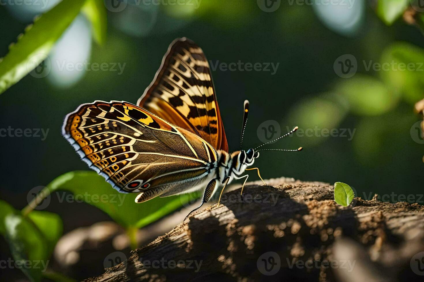 a butterfly is sitting on a tree branch. AI-Generated photo