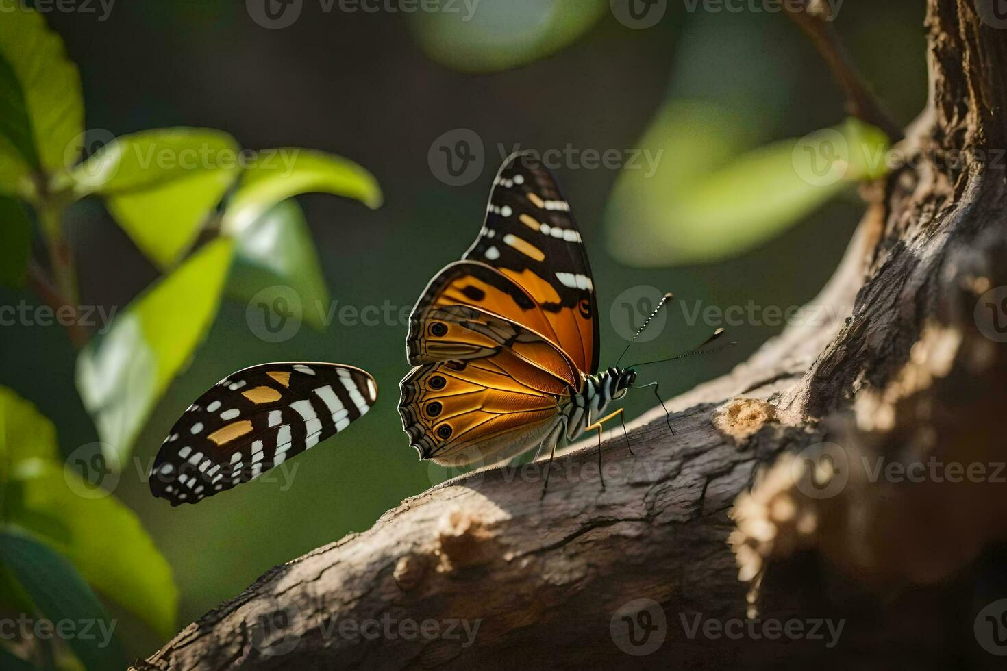 two butterflies are sitting on a tree branch. AI-Generated photo